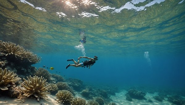 Découvrez le paradis aquatique : toboggans et détente dans les landes